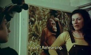アニタ1973。
